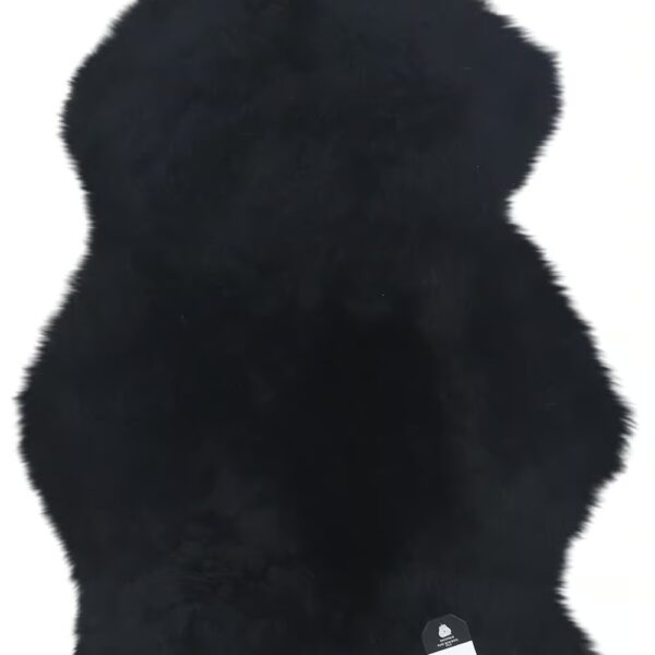 Black Sheepskin - Wyrdraven Curiosities - wyrdraven.co.uk